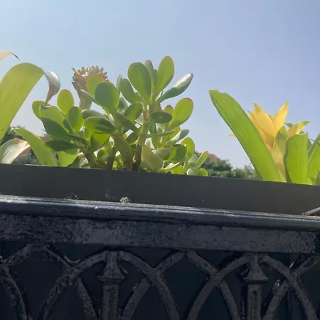 Spacieux Confort Cite Imperiale