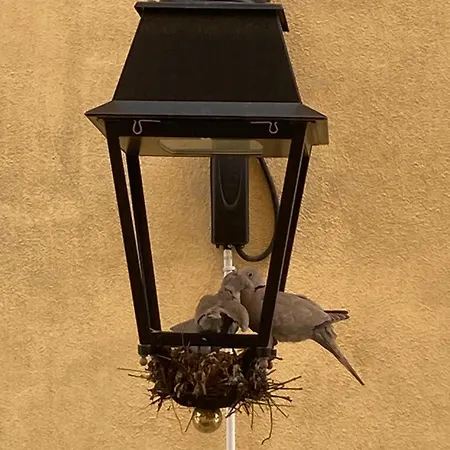 Spacieux Confort Cite Imperiale * Ajaccio (Corsica)