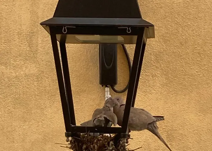 Spacieux Confort Cite Imperiale * Ajaccio (Corsica)