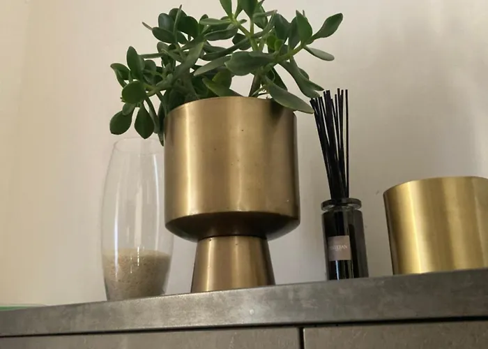 Spacieux Confort Cite Imperiale Apartment Ajaccio (Corsica)