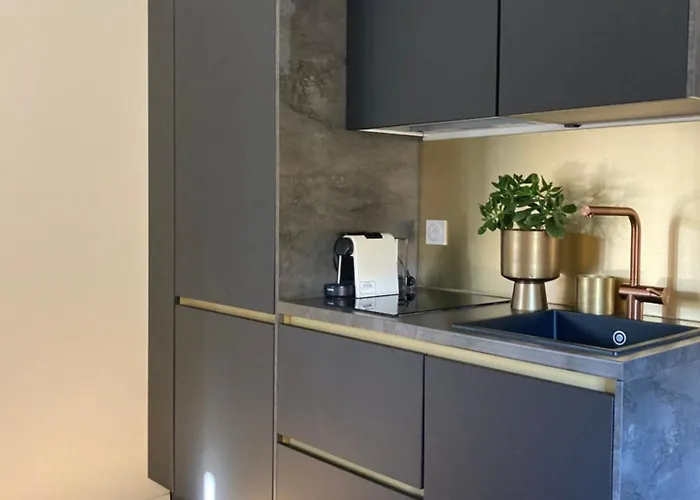 Spacieux Confort Cite Imperiale Ajaccio (Corsica)